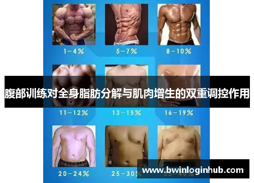 腹部训练对全身脂肪分解与肌肉增生的双重调控作用