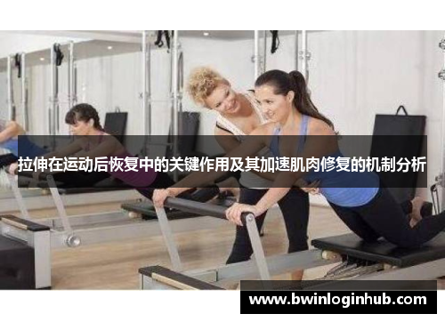 拉伸在运动后恢复中的关键作用及其加速肌肉修复的机制分析